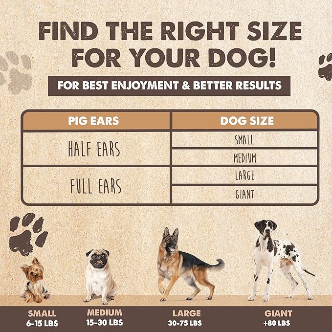 Mighty Paw Full Pig Ears for Dogs | All Natural Dog Treats. Single Ingredient Pig Ear Dog Treats. Better Than Rawhide Dog Snacks for Puppy and Large/Medium Dogs. Pigs Ears Dog Chews, Dog Pig Ears
