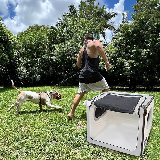 Collapsible Dog Crate - Portable Dog Travel Crate Kennel for Medium Dogs, Soft Sided Folding Dog Crates Indoor, Outdoor 31’’Lx35’’Wx25’’H