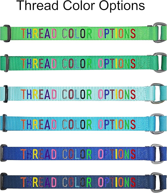 Blueberry Pet Essentials Personalized Martingale Safety Training Dog Collar, Turquoise, Large, Adjustable Customized ID Collars for Dogs Embroidered with Pet Name & Phone Number