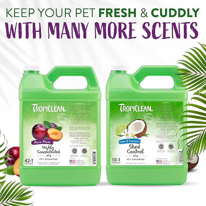 TropiClean High Concentrate Dog Shampoo, Professional Grade & Size for Groomers, 42:1 Dilution, Puppy Safe, USA Made, Pure Plum Scent, 1 Gallon