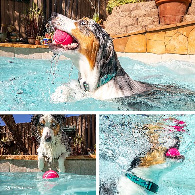 Hyper Pet Tennis Balls for Dogs (Pet Safe Dog Tennis Ball for Exercise and Training, Interactive Toys work with Hyper Pet K9 Kannon K2 Launcher - 4 Pack 2.5" Pink