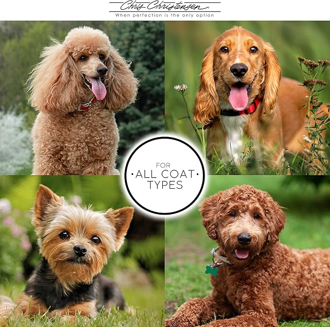 Chris Christensen Dog Shampoo & Conditioner Gallon Bundle, Clean Start Clarifying Shampoo + After U Bathe Final Rinse Solution + Day to Day Moisturizing Condiutioner, Groom Like a Proffesional