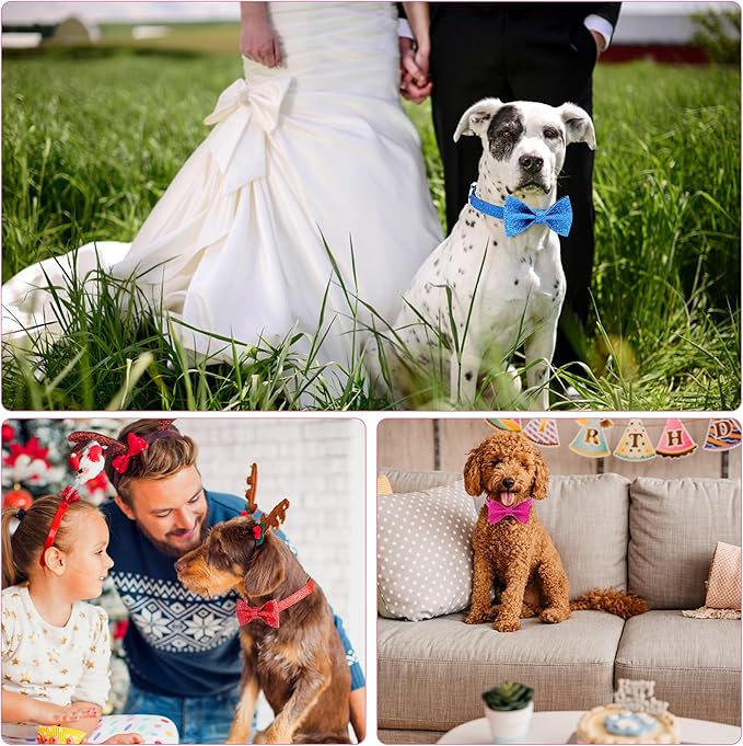 Blue Boy Dog Collar with Bow, Bling Male Bowtie Dog Collar for Puppy Small Medium Dogs, Cute Dog Collar for Daily Walking or Holiday Party (Neck fit 11-16’’)