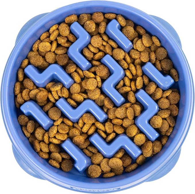 Outward Hound Fun Feeder Slo Bowl, Medium Slow Feeder Dog Bowl, 2 Cups, Blue