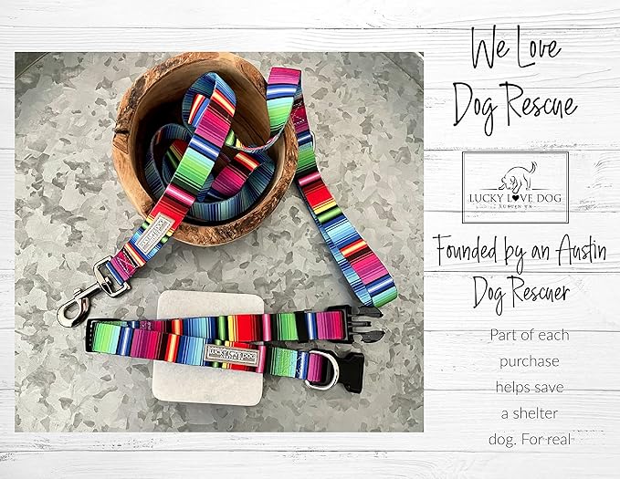 Lucky Love Dog Collars, Rainbow Striped Dog Collar for Tiny Dogs, Vivid Pattern Girl or Boy Dog Collar, Nacho, X-Small