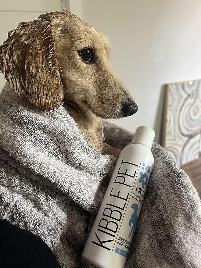 Organic Oatmeal & Aloe Vera Dog Shampoo - Hypoallergenic Coat Freshener, Made in USA, 6 oz