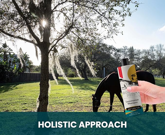 Holistic, Natural and Clean Pet Care Lemongrass Shampoo: Veterinarian Recommended - Hydrate Your Pet’s Coat With Our Hypoallergenic Shampoo For Dogs, Cats and Horses - Made in USA - 16 oz