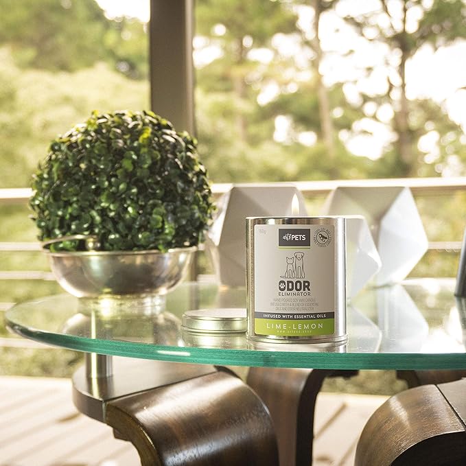 Art & Pets Pet Odor Eliminator Candle Appx 72 Hrs Burning Time | Natural Scented Soy Wax Candle | Dog Smell Eliminator Candle | Cat and Dog Odor Eliminator Candle | Pet Candle (Lime Lemon)