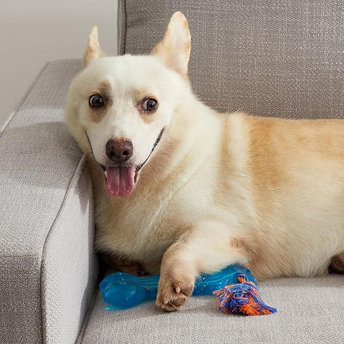 Petstages Orka Bone Royal Blue Treat-Dispensing Dog Chew Toy