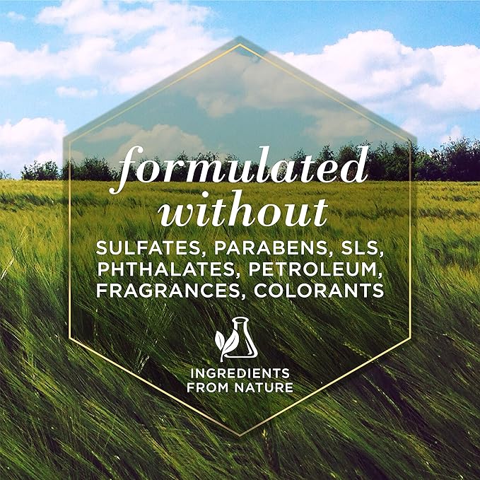 Burt's Bees for Pets Detangling Spray for Dogs with Lemon and Linseed Oil, 99.7% Natural Origin Formulas, Waterless Canine Shampoo - Gentle Dry Cleanser for Pups 10 oz