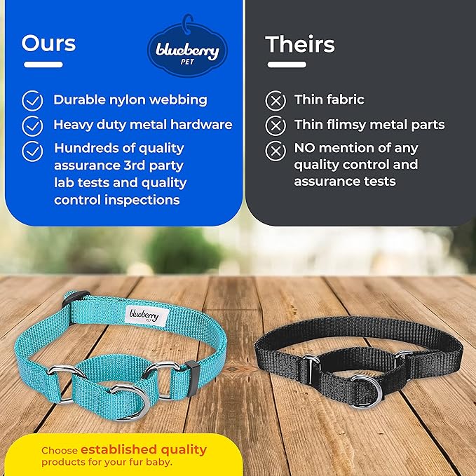 Blueberry Pet Essentials Martingale Safety Training Dog Collar, Very Berry, Large, Heavy Duty Nylon Adjustable Collars for Dogs