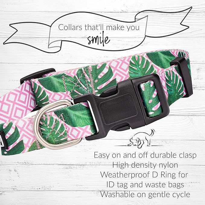Lucky Love Dog, Tropical Dog Collar for Female Male Dogs, Comfortable & Soft, Vivid Pink Dog Collar - (X-Small, Laguna Collar)