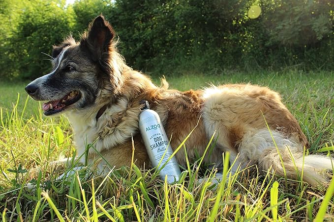 Reusable, Refillable Shampoo Bottle for Dogs, Fill with Water & Concentrated Shampoo Powder, Recyclable Aluminum, Holds 16 Fl. Oz.