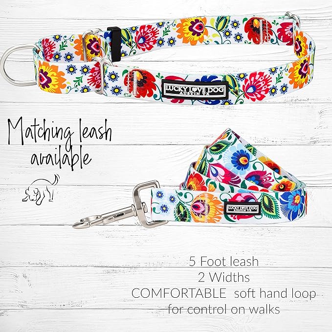 Lucky Love Dog Martingale Dog Collar - Adjustable, No-Slip, Durable, & Soft Webbing Dog Collar for Male and Female Dogs Ideal for Training & Walking - Stylish Ladybird Pattern, Medium Size