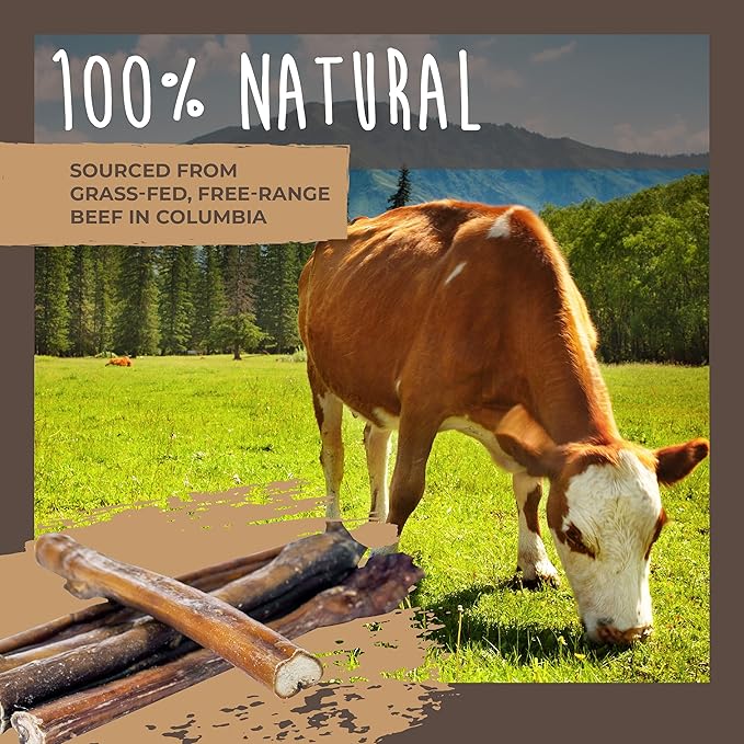 Mighty Paw Naturals Bully Sticks for Dogs - Grass Fed Beef Dog Chews. Dog Bully Sticks for Large Dogs, Medium and Small Breeds. Lower Odor Bully Sticks for Small Dogs. Single Ingredient (12" - 5 Pack)