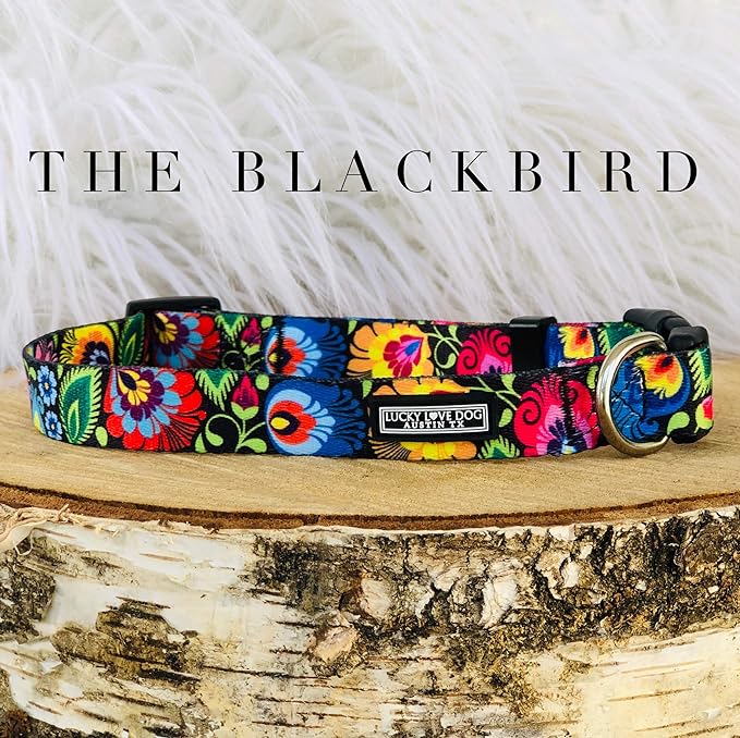 Lucky Love Dog - Adjustable Dog Collar with Easy Click Buckle for Small to Large Dogs, Durable, & Comfortable Collar for Male & Female Dogs, Pet Collar for Puppies & Adult Dogs - Blackbird, Small