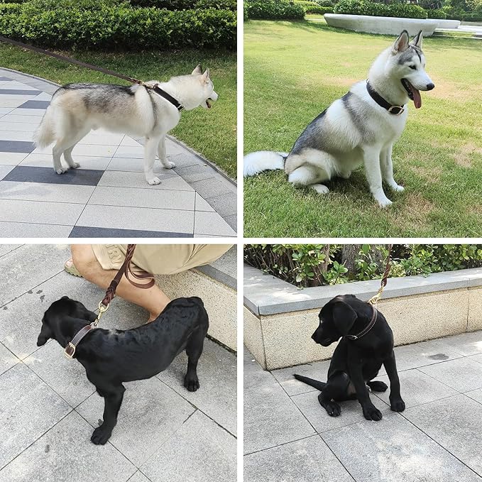 Leather Dog Collar,Heavy Duty Dog Collar Leather,with Strong Metal Buckle Genuine Leather Collar for Dogs,for Small Dog,Medium Dog,Large Dog and Extra Large Dog (XL: 1.4" Width for 19.7"-25.6" Neck)