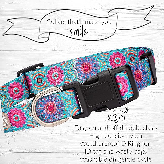 Lucky Love Dog, Boho Chic Dog Collar for Girl Boy Dogs, Vivid Pink and Turquoise Collar for Dogs, Comfortable, Soft, Cute Collars - (Small, Clara Collar)