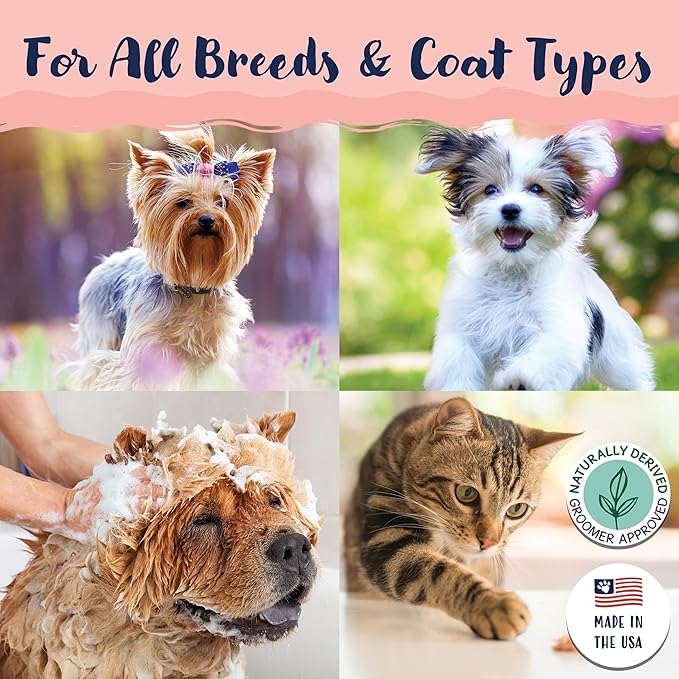 Bobbi Panter Gorgeous Dog Shampoo for Brightening & Whitening - Natural Ingredients, Tear-Free, Paraben-Free, pH-Balanced, 20:1 Concentrated Formula, Peach Scent, 13 oz. (Case of 12)