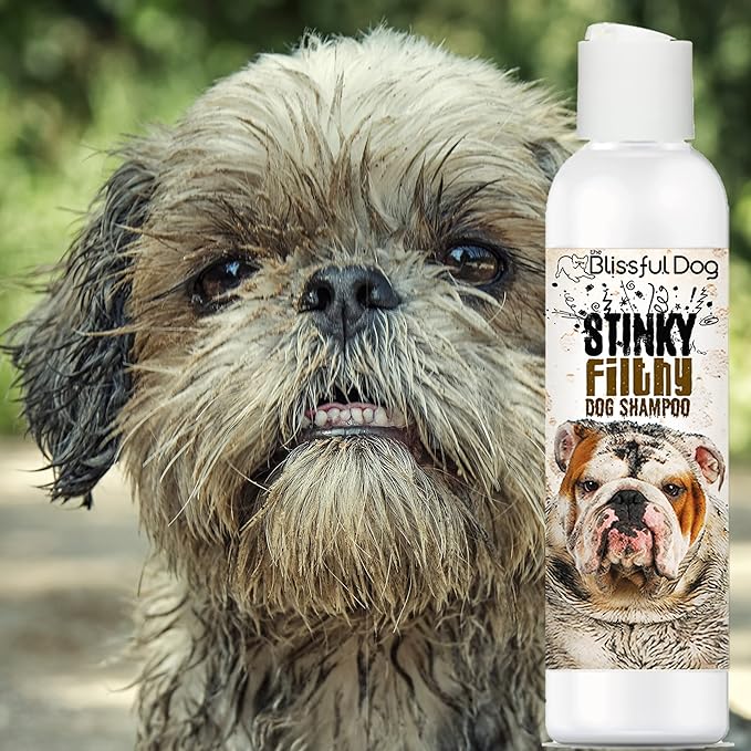 The Blissful Dog Stinky Filthy Dog Shampoo, 4-Ounce, Carmel (SH-DD-4OZ)