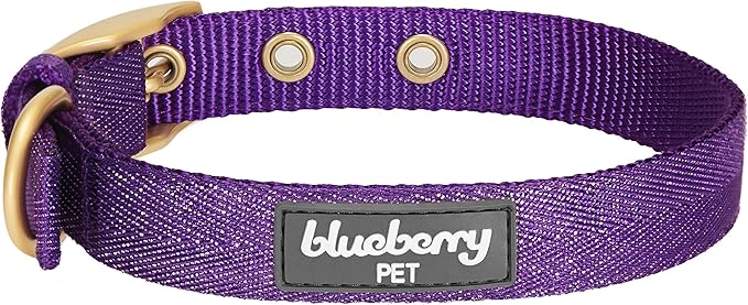 Blueberry Pet 6 Colors The Most Coveted Designer Mixed Metallic Thread Adjustable Dog Collar in Dazzling Tinsel Purple with Metal Buckle, Neck 17-20.5", for Large Breed