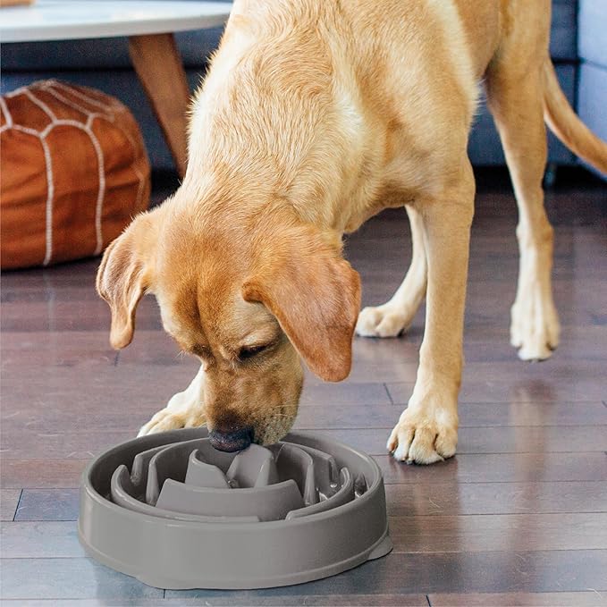 Outward Hound Fun Feeder Slo Bowl, Large Slow Feeder Dog Bowl, 4 Cups, Gray