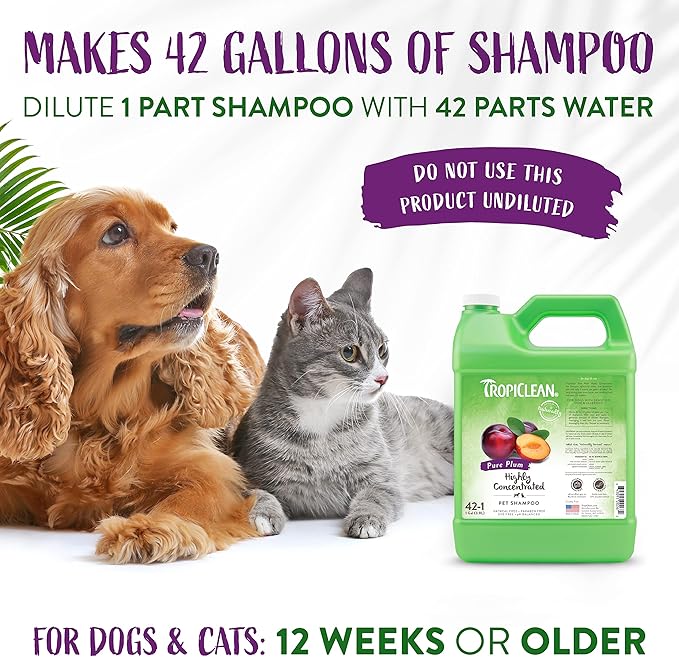 TropiClean High Concentrate Dog Shampoo, Professional Grade & Size for Groomers, 42:1 Dilution, Puppy Safe, USA Made, Pure Plum Scent, 1 Gallon
