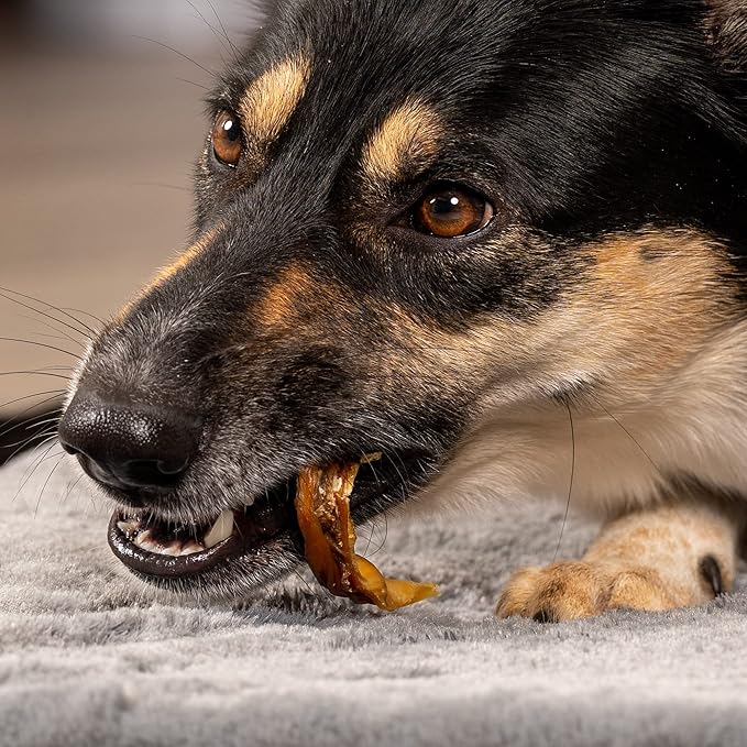 Pet Factory Real Chewz Piggy Bites Dog Chew Treats, 100% All-Natural - 16 oz