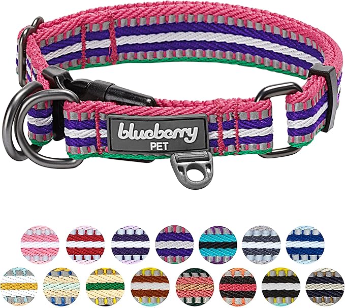 Blueberry Pet 3M Reflective Dog Collars | Adjustable Dog Collar w/Multi-Colored Stripe - Pink, Emerald and Orchid | Nylon Pet Collars for Dogs & Refflective Dog Collar for Medium Dogs