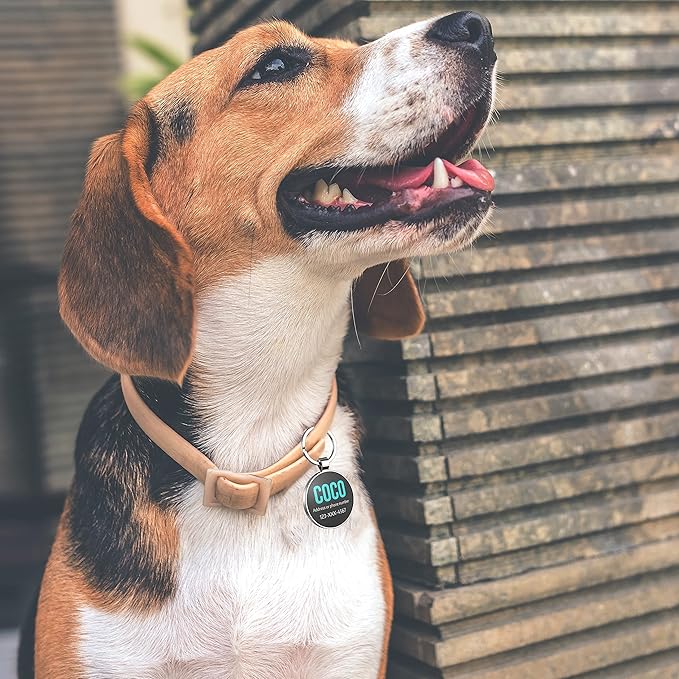 QR Code Dog Tag,Dog Tags Personalized for Pets, Custom Dog Name ID Tags Personalized Dog and Cat Tags -Free Online&Scan QR Receive Instant Location Alert Email