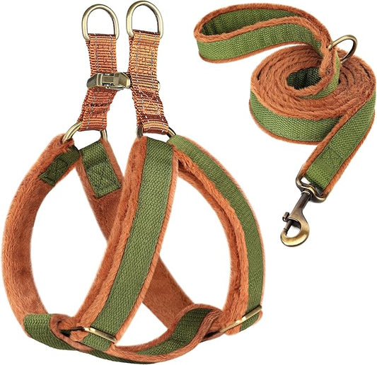 Beirui Soft Small Dog Harness and Leash Set-Adjustable Step in Dog Harness for Small Dogs-Easy Walk Dog Harness Small Sized Dog-Warm No Pull Dog Harness and Leash Used in Autumn Winter(Green,S)