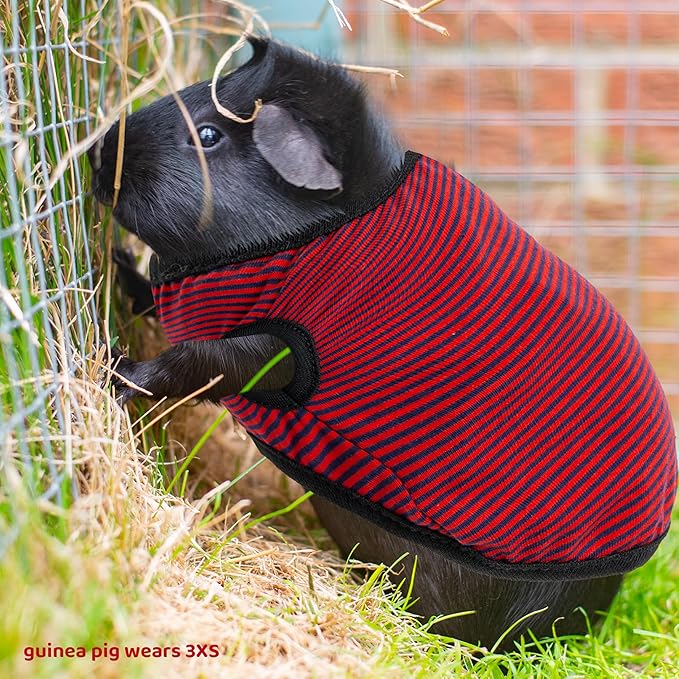 Guinea Pig Clothes - 2 Pack Cute Small Animal Vest Clothes for Rat Rabbit Chinchilla Ferret Kitten Chihuahua - Soft Breathable T-Shirt Pet Costume