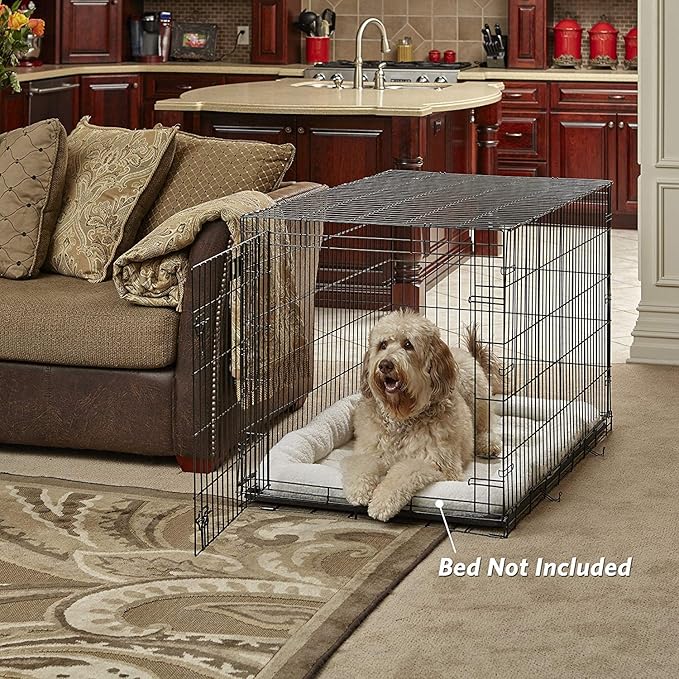 MidWest Homes for Pets Large Dog Crate | Midwest Life Stages Folding Metal Dog Crate | Divider Panel, Floor Protecting Feet, Leak-Proof Dog Pan | 42L x 28W x 31H Inches, Large Dog