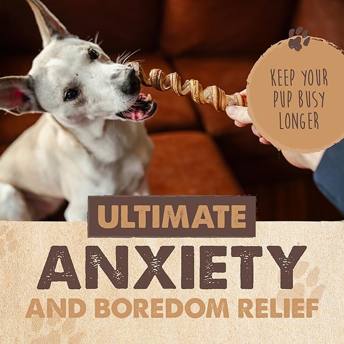 Mighty Paw Naturals Curly Bully Sticks for Dogs - Grass Fed Beef Dog Chews. Dog Bully Sticks for Large Dogs, Medium, Small Breeds. Lower Odor Bully Sticks for Small Dogs. Single Ingredient 6” - 5 Pack