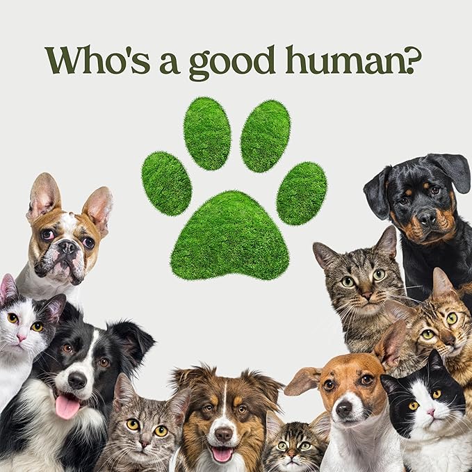 PAWFUME Skin & Coat Detangler Spray for Dogs, 1-Pack – Soothe Dry, Itchy Coats Quickly – Non-Toxic Chamomile & Oat Formula, Essential Fatty Acids & Vet-Certified – Dog Detangler Spray Dematting Care