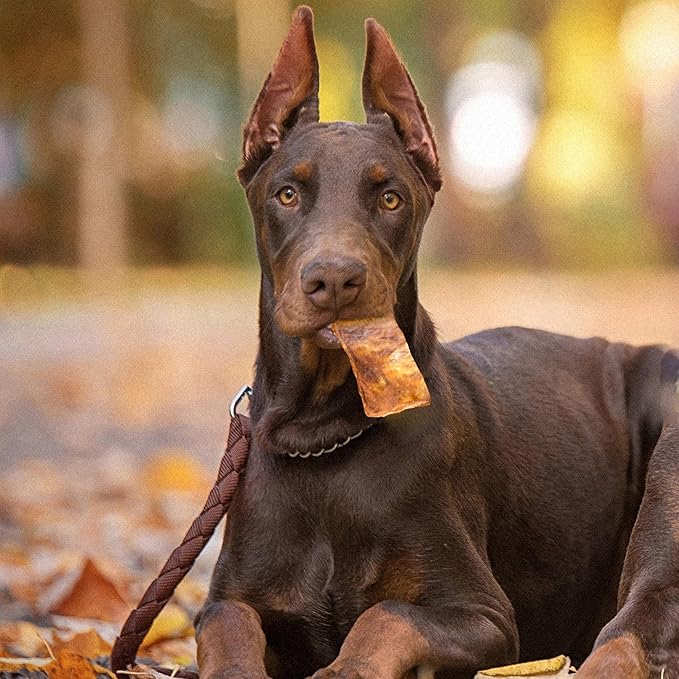 Fieldcrest Farms Nothin to Hide Flip Chips Dog Chews - Natural Rawhide Alternative Treats for Dogs, Collagen Based Snack for Moderate Chewers Up to 35lbs, Beef Flavor - 2 Packs (16 Chips)