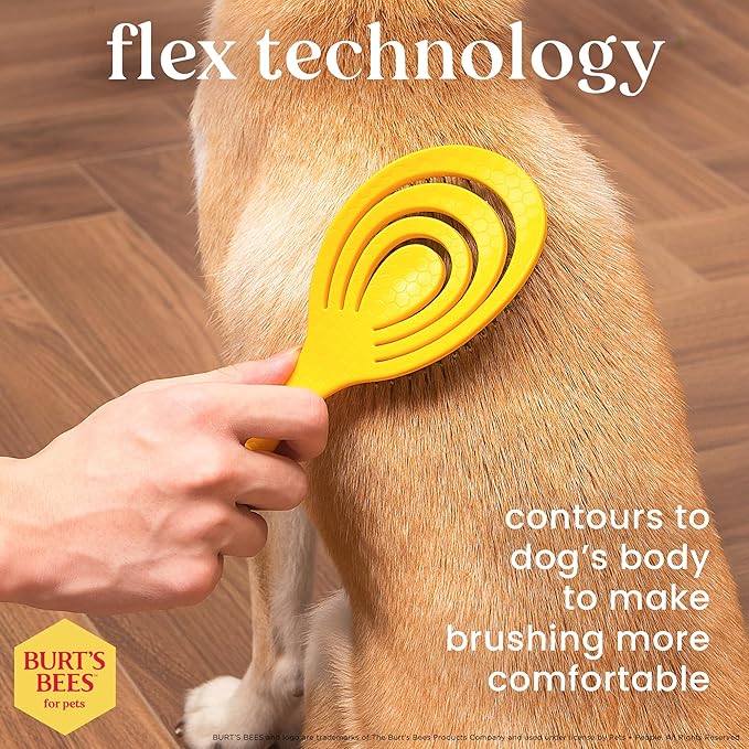 Burt's Bees for Pets Porcupine Bristle Brush, Large Dogs Hair Grooming Tool, Flex Technology, Recycled Plastics Handle, 9 Inches