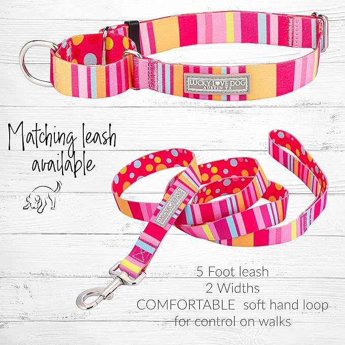 Lucky Love Dog, Colorful Stripes Martingale Dog Collar, Yellow, Pink, Blue Color No Slip Dog Collar - (Small, Molly Martingale)