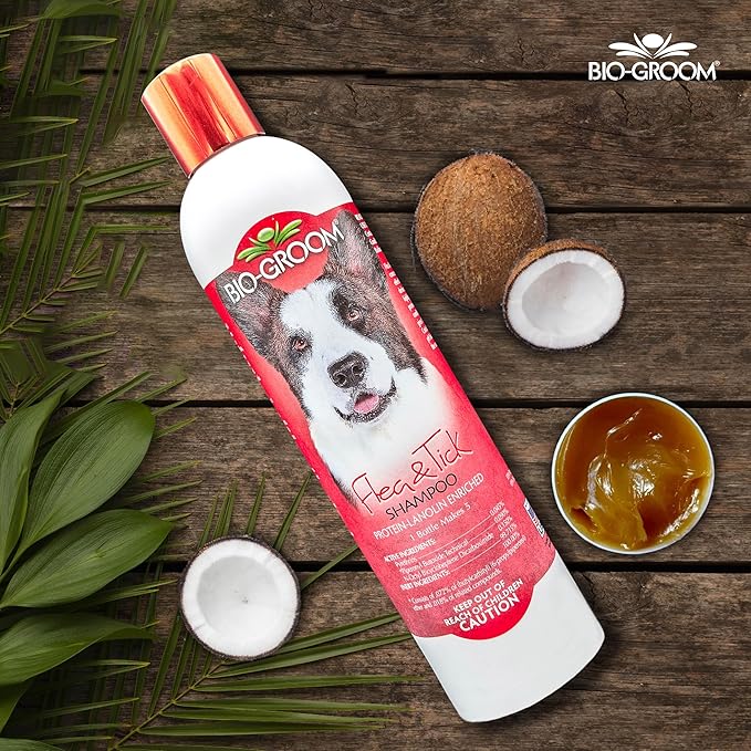Bio-Groom Flea & Tick Dog Shampoo – Flea and Tick Prevention for Dogs, Cat Flea Treatment, Cruelty-Free, Made in USA, Natural Tick Repellent, Protein-Lanolin Shampoo – 12 fl oz 1-Pack