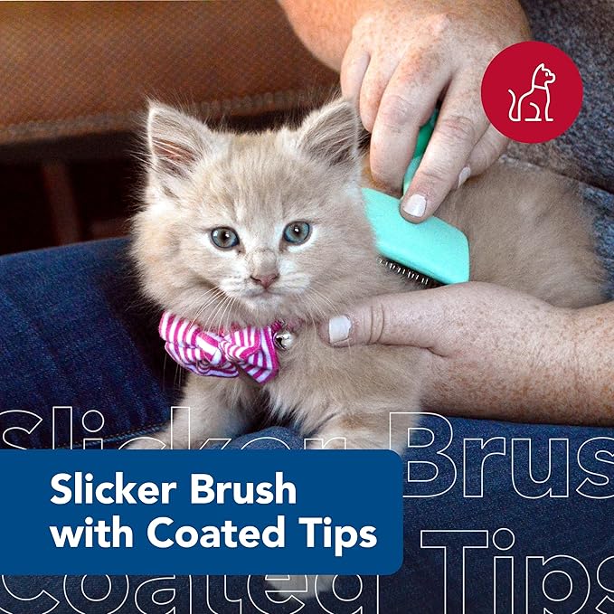 Coastal Pet Li'l Pals - Kitten Slicker Brush with Coated Tips