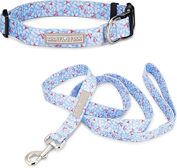 Lucky Love Dog Dog Collar, Leash Set Small, Medium, Large, Premium, Cute and Adjustable Collars for Male and Female Dogs, Winterblue Combo, Large