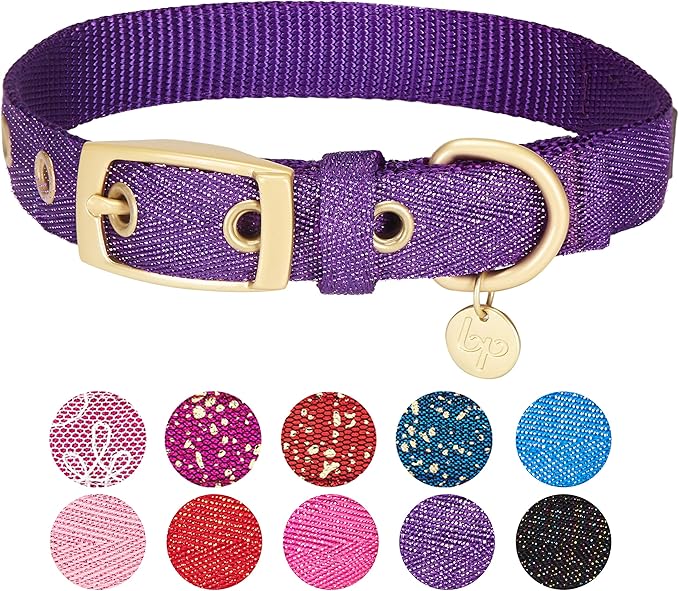Blueberry Pet 6 Colors The Most Coveted Designer Mixed Metallic Thread Adjustable Dog Collar in Dazzling Tinsel Purple with Metal Buckle, Neck 9-12.5", for Small Breed