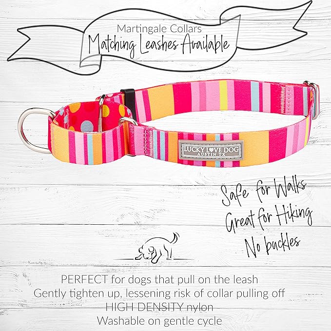 Lucky Love Dog, Colorful Stripes Martingale Dog Collar, Yellow, Pink, Blue Color No Slip Dog Collar - (Small, Molly Martingale)