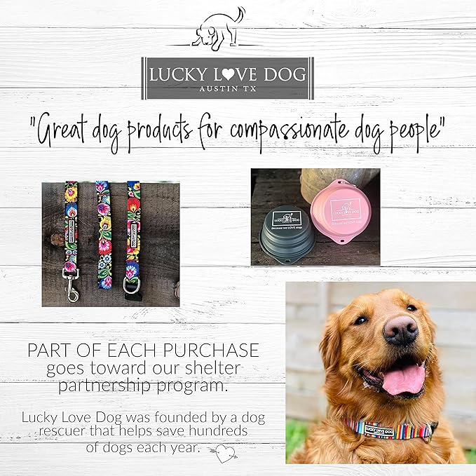 Lucky Love Dog Wide Dog Collar - Adjustable, Durable, Soft Webbing, & Comfortable 1.5 inch Wide Collar for Dogs Male and Female - in Primrose Pattern with Strong Buckle, X-Large Size