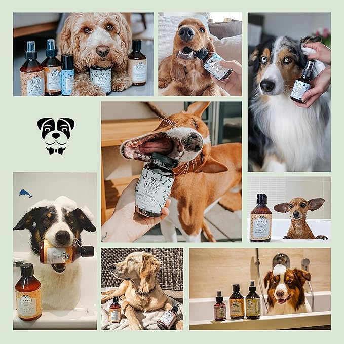 Belly Dog Cologne, 8.5 oz - Neat Dog Frangipani - Neutralize Strong Odors - Premium Scented Deodorizing Body Spray for Dogs - Made in Germany