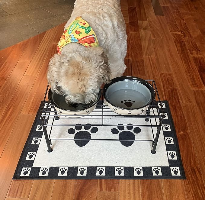 PetRageous 81031 Tobys Set The Table Steel Frame Dog Feeder, 7-Inch Tall by 18-Inch Long and 8.5-Inch Wide, Holds Two 8-Inch Diameter Bowls, for Medium Dogs And Cats, Black