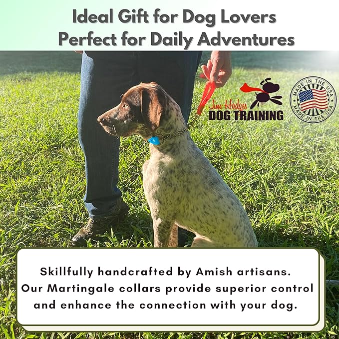 Martingale Collar for Dogs, Biothane, Stainless Steel Hardware, No Pull, Made in The USA, Professional Grade, XS Light Blue