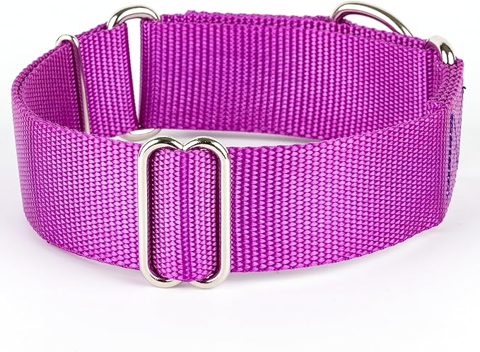 Country Brook Petz - Vibrant 18 Color Selection - 1 1/2 Inch Martingale Heavyduty Nylon Dog Collar (Large, Bright Purple)