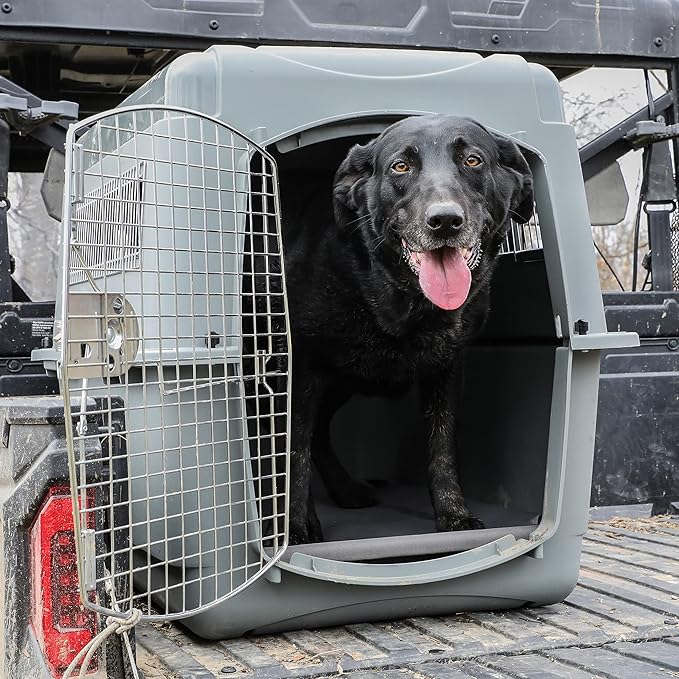 Momarsh Low Profile Dog Cot for Kennels, Crates, Boats & Layout Binds | Comfortable Low Profile Platform & Frame Fits in Most Large Kennels