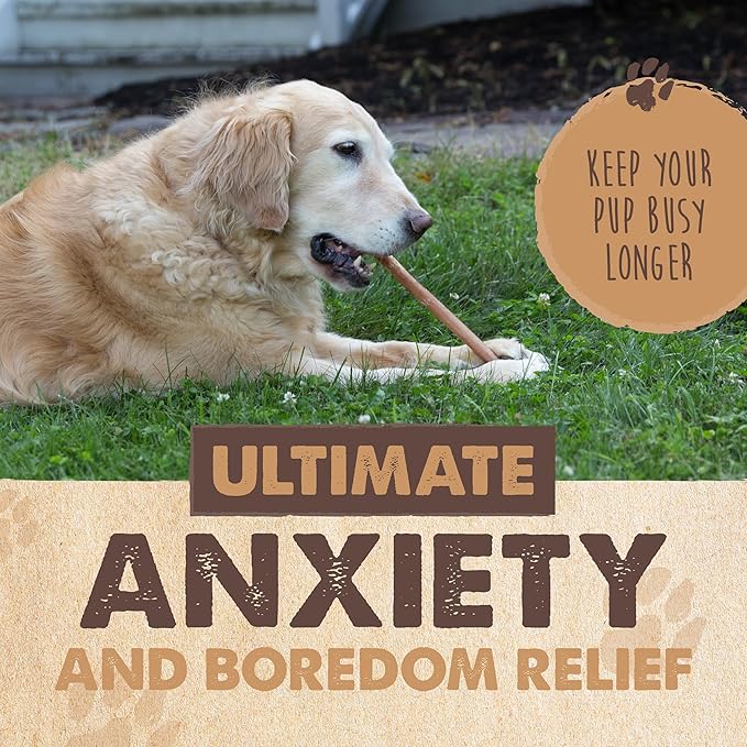 Mighty Paw Naturals Bully Sticks for Dogs - Grass Fed Beef Dog Chews. Dog Bully Sticks for Large Dogs, Medium and Small Breeds. Lower Odor Bully Sticks for Small Dogs. Single Ingredient (6" - 25 Pack)